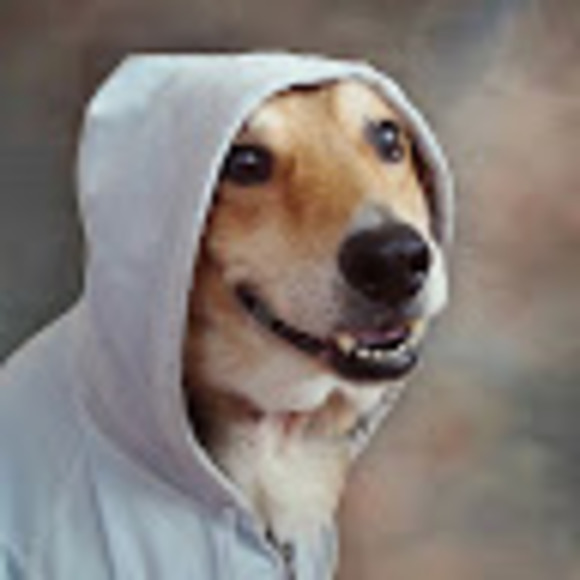 Meet your Posher, Lee - Picture 1 of 1